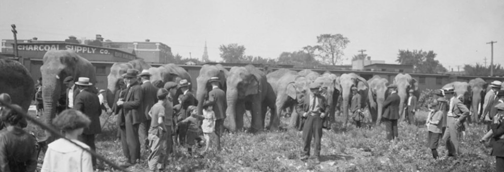 THE CIRCUS COMES TO TOWN